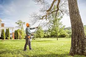 Best Residential Tree Removal  in Watford City, ND